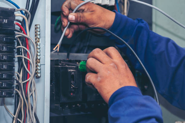 Best Residential Electrician Services  in Ozona, TX