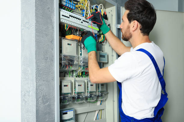 Best Licensed Electrician  in Ozona, TX